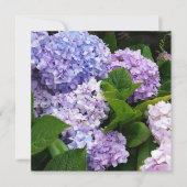 Belle carte de notes Hydrangeas (Devant)
