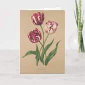 Belle carte de Pâques Tulipes Vintages (Devant)