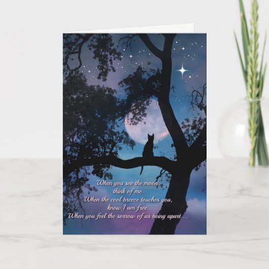 Belle carte de sympathie de poème de chat (Devant)