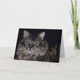 Belle carte de voeux de chat de Maine Coon