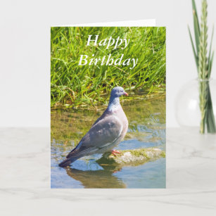 Cartes De Vœux Pigeon Voyageur Zazzle Be