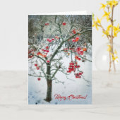 Belle carte de vœux de Noël ! (Fleur jaune)