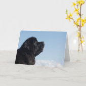 belle carte de voeux de terre-neuve (Fleur jaune)