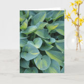 Belle carte de voeux hosta plante (Fleur jaune)