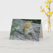 belle carte de voeux léopard (Fleur jaune)