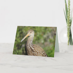 Belle carte de voeux Limpkin