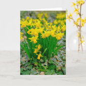 Belle carte de voeux narcisse (Fleur jaune)