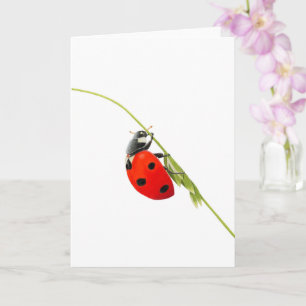 Belle carte de voeux pliée de dessin Ladybug