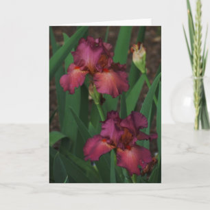 Belle Carte de voeux rose Irises vierge à l'intéri