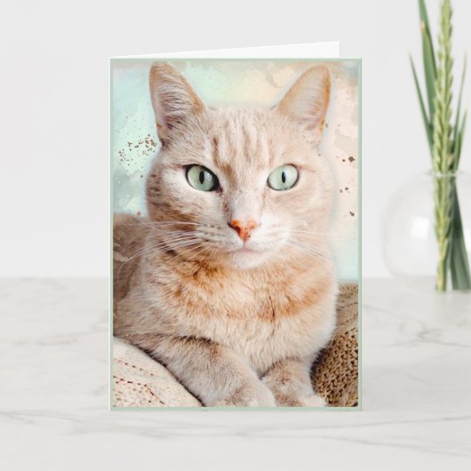 Belle Carte de voeux Tabby Cat (Devant)