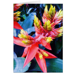 Belle carte exotique de fleur de jaune orange