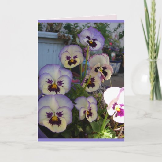 Belle carte florale de pensées bleues fleurs (Devant)
