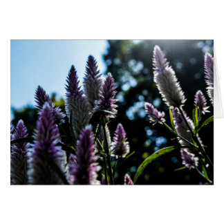 Belle carte florale violet violette