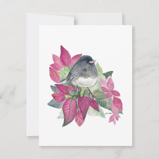Belle carte Junco Watercolor Note (Devant)