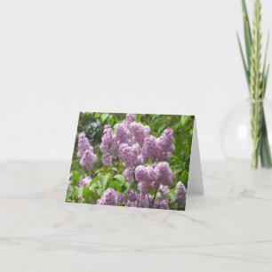 Belle carte Lilac Bush Blank Note