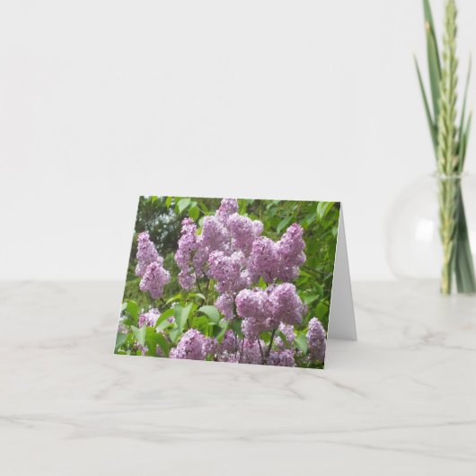 Belle carte Lilac Bush Blank Note (Devant)