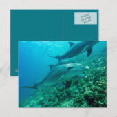 Belle carte postale (Devant / Derrière)