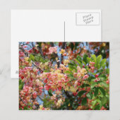 Belle carte postale Arbre de douche Arc-en-ciel (Devant / Derrière)