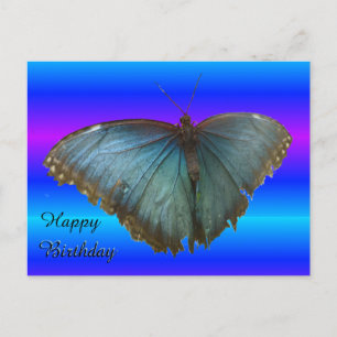 Belle carte postale Bleu Morpho Papillon Anniversa