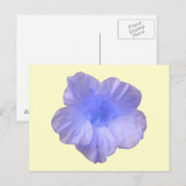 Belle carte postale bleu Nasturtium (Devant / Derrière)