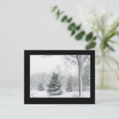 Belle carte postale Blizzard (Debout devant)