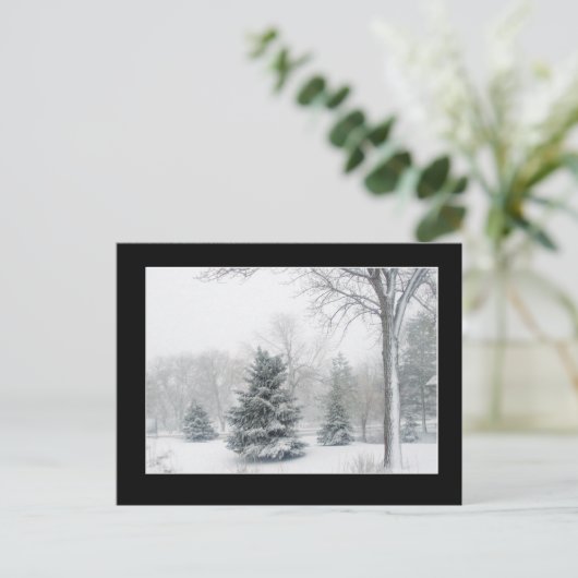 Belle carte postale Blizzard (Debout devant)