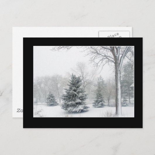 Belle carte postale Blizzard (Devant / Derrière)