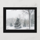 Belle carte postale Blizzard (Devant)