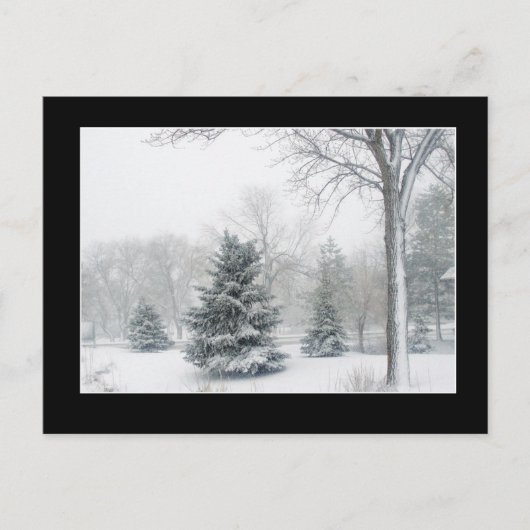 Belle carte postale Blizzard (Devant)