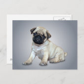 Belle carte postale Carlin (Devant / Derrière)