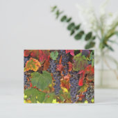 Belle Carte postale couleur Vin d'automne (Debout devant)