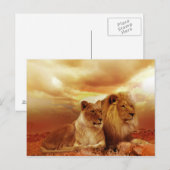 Belle carte postale Couple Lion (Devant / Derrière)