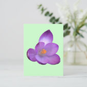 Belle carte postale Crocus (Debout devant)