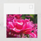 Belle carte postale d'anniversaire avec gros plan (Devant / Derrière)