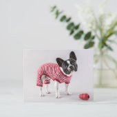 Belle carte postale de Bulldog (Debout devant)