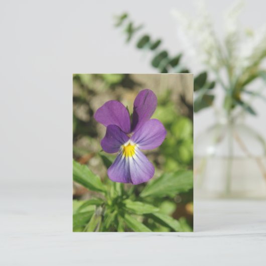 Belle carte postale de fleur de violet (Debout devant)