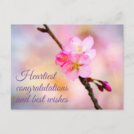 Belle carte postale de fleurs de cerisier Sakura (Devant)
