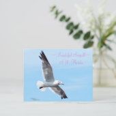 Belle carte postale de la Floride (Debout devant)