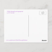 Belle carte postale de la Floride (Dos)