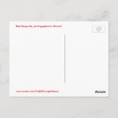 Belle carte postale de libellules rouges (Dos)