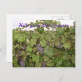Belle carte postale de raisins (Devant / Derrière)