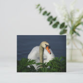 Belle carte postale do-it-yourself cygne (Debout devant)
