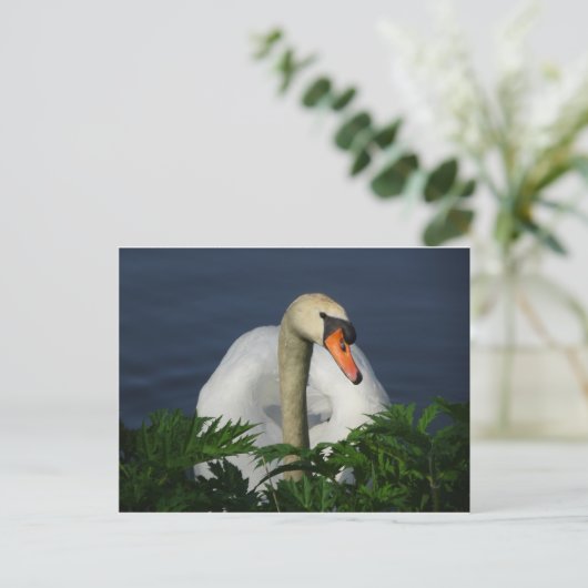Belle carte postale do-it-yourself cygne (Debout devant)