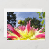 Belle carte postale do-it-yourself rose jaune (Devant / Derrière)