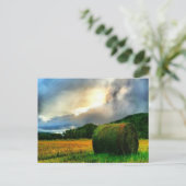 Belle carte postale d'un champ de foin (Debout devant)