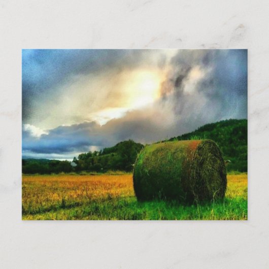 Belle carte postale d'un champ de foin (Devant)