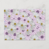 Belle carte postale florale rose et blanc (Devant)