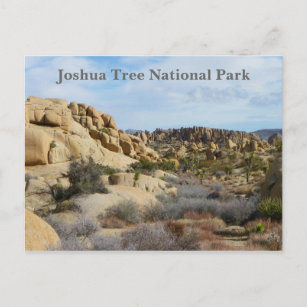 Belle Carte Postale Joshua Tree !