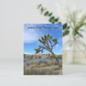 Belle Carte Postale Joshua Tree ! (Debout devant)