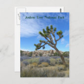 Belle Carte Postale Joshua Tree ! (Devant / Derrière)